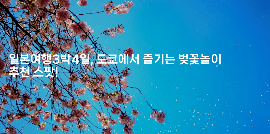 일본여행3박4일, 도쿄에서 즐기는 벚꽃놀이 추천 스팟!2-미루미루