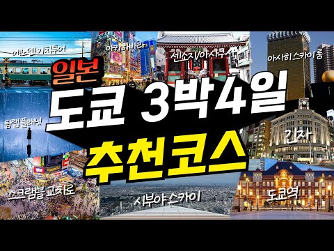 일본 현지인까지 극찬한 '도쿄' 3박4일 여행코스 완벽정리?(+꿀팁 공개!)