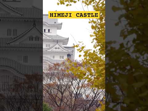 FAMOUS BUILDINGS - HIMEJI CASTLE