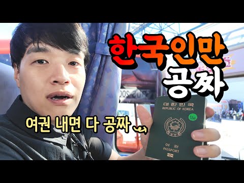 한국인에게만 다 공짜인 일본 도시가 있다? | 마쓰야마 여행 1편