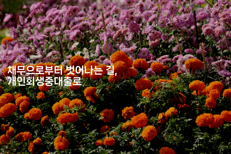 채무으로부터 벗어나는 길, 개인회생중대출로-미루미루