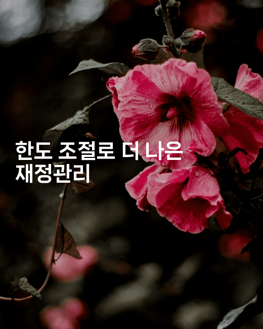 한도 조절로 더 나은 재정관리-미루미루