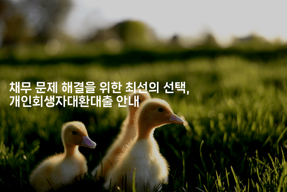 채무 문제 해결을 위한 최선의 선택, 개인회생자대환대출 안내-미루미루