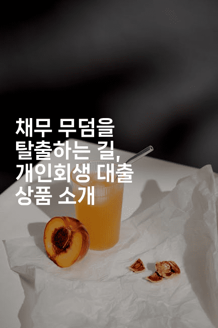 채무 무덤을 탈출하는 길, 개인회생 대출 상품 소개-미루미루