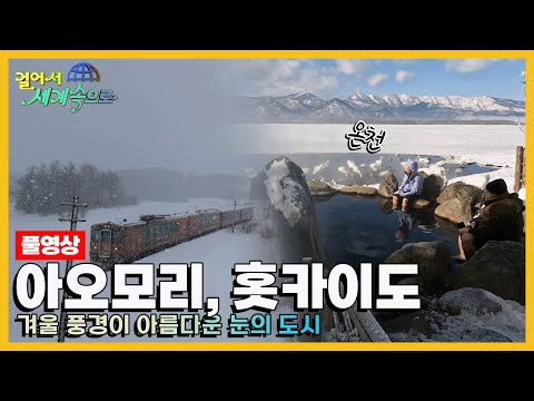 [걸어서세계속으로Full?] 눈과 낭만이 내리는 겨울 왕국 '일본 아오모리와 홋카이도' Trip to Japan (KBS 20230225)