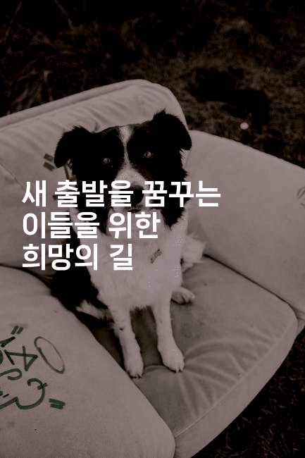 새 출발을 꿈꾸는 이들을 위한 희망의 길-미루미루