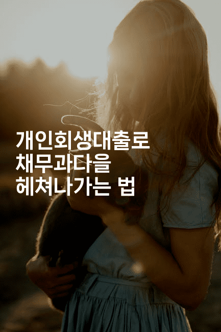 개인회생대출로 채무과다을 헤쳐나가는 법-미루미루