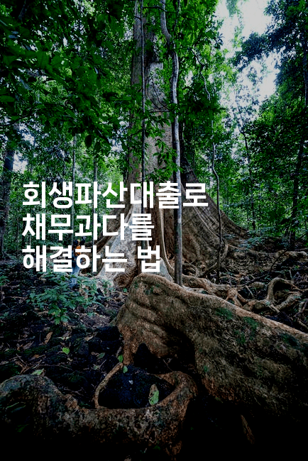 회생파산대출로 채무과다를 해결하는 법-미루미루