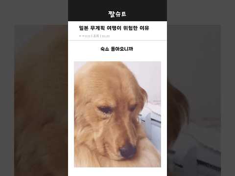 일본시골 무계획여행은 절대 가지마라